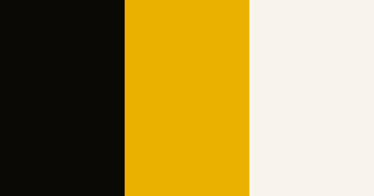 Black, orange and white color palette