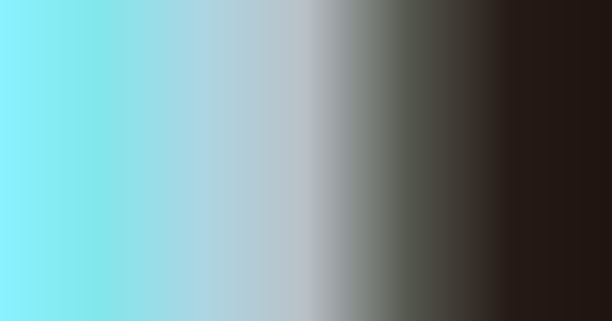 Light blue, gray, brown and black color palette