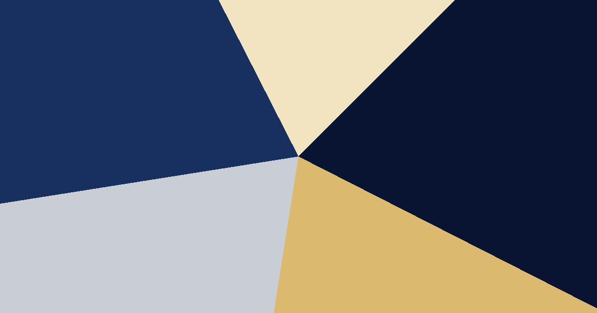 Navy, tan, gray and beige color palette